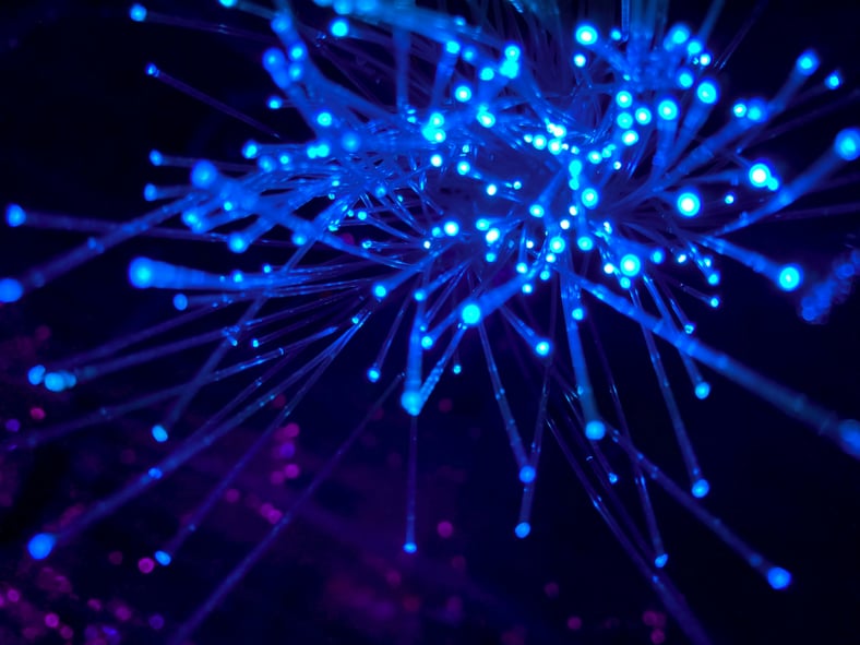 How Independent Insurance Agencies Can Choose the Right Technology Partner